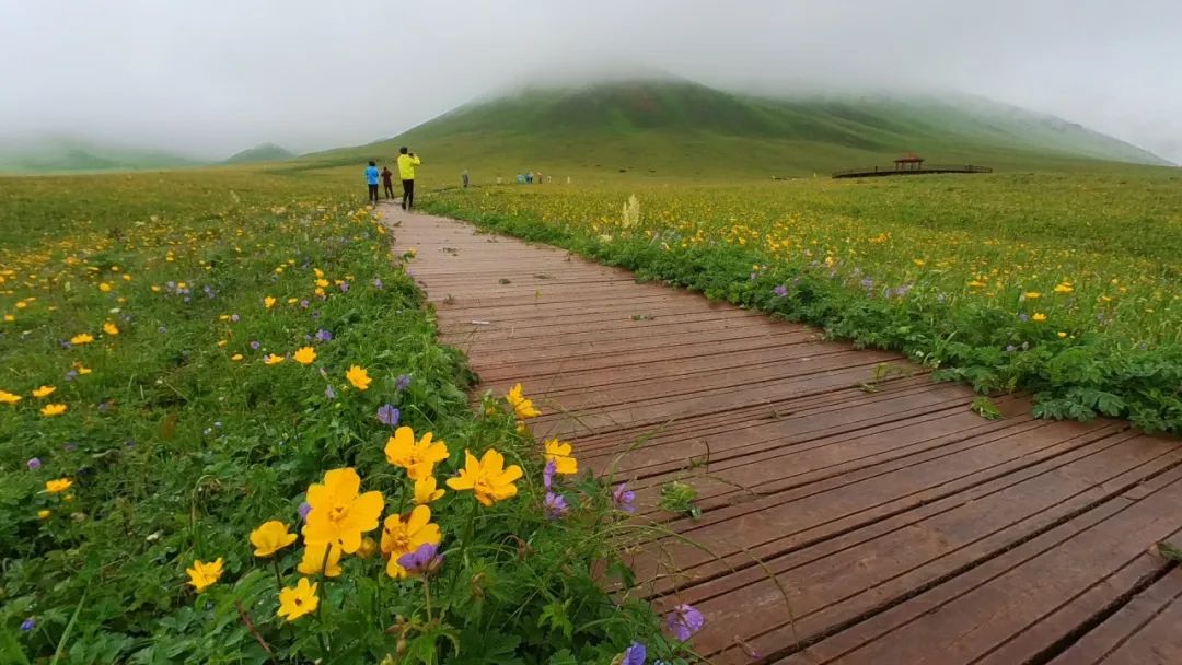 丰田塔库玛2024 2024新疆徒步：2024年6月12日-20日，伊犁醉美5草原灯光徒步活动